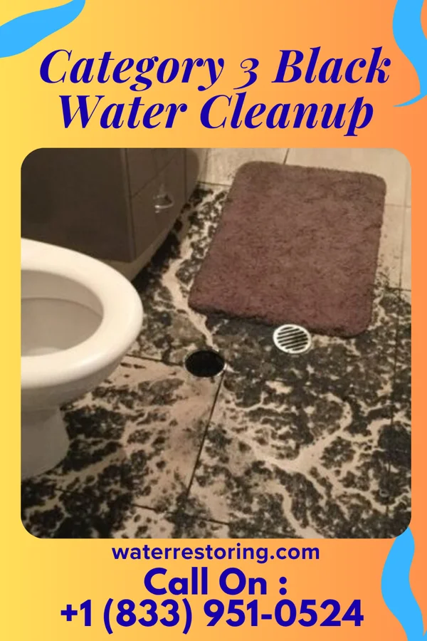 Category 3 Black Water Cleanup in Glasgow, PA