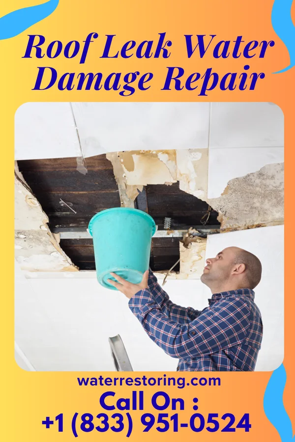 Roof Leak Water Damage Repair in Glasgow, PA