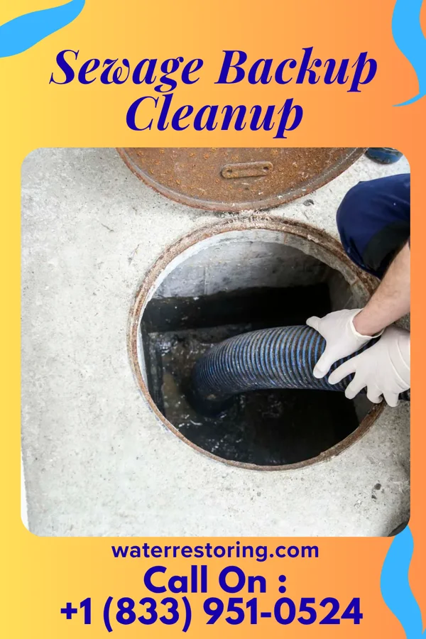 Sewage Backup Cleanup in Glasgow, PA