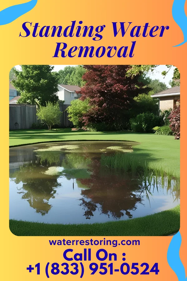 Standing Water Removal in Glasgow, PA